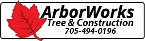 Arbor Works - Tree & Construction 705-494-0196
